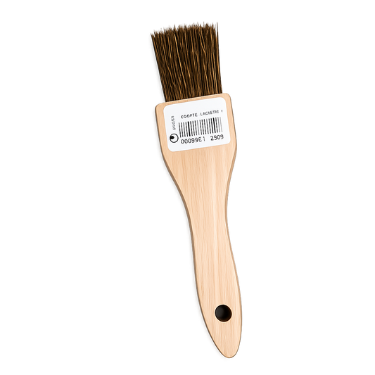 BROSSE LAITON SOUPLE