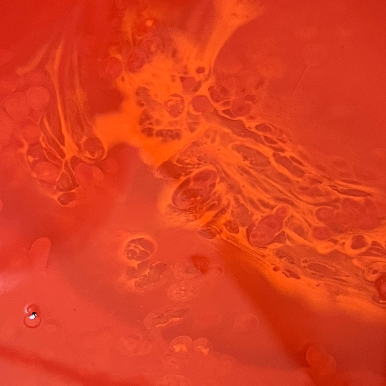 Colorant liquide rouge professionnel pour béton